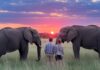 Africa Travel Packages: Vibrant Safari Escapes