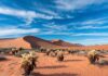 Exploring Exotic Desert Landscapes: Vibrant Vistas Await