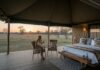 Luxury Safari Botswana: Opulent Wildlife Retreat