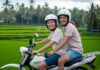 Vietnam Travel Itineraries: Vibrant Journeys Begin