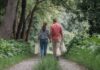 Eco Friendly Travel Tips: Embrace Green Journeys