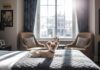 Pet-friendly Boutique Hotels: Stylish Comfort Awaits
